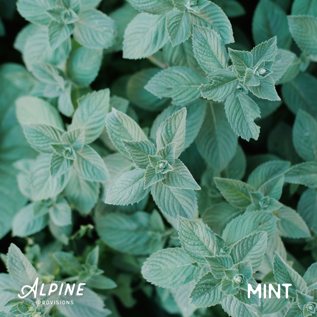 Rosemary + Mint | Conditioner