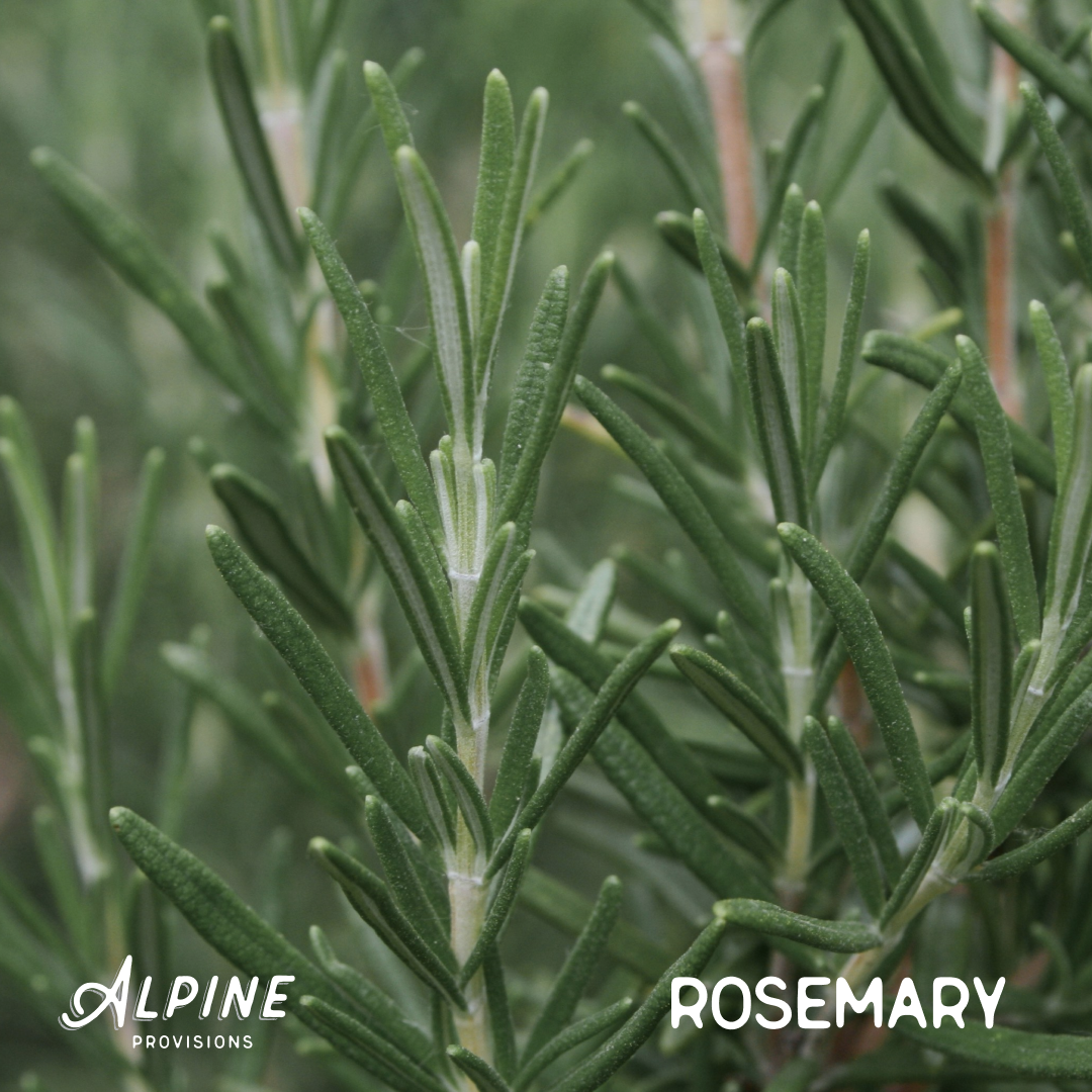 Rosemary + Mint | Conditioner
